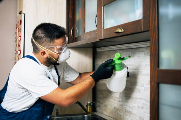 Pest Control for Restaurants in Setauket, NY